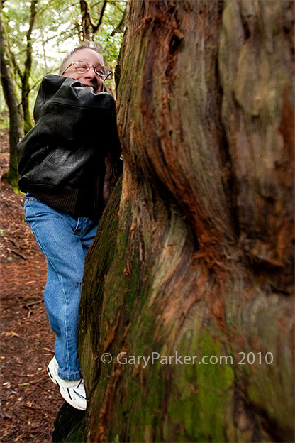 Nick climbing this 20' wide redwood the day before his brain surgery.