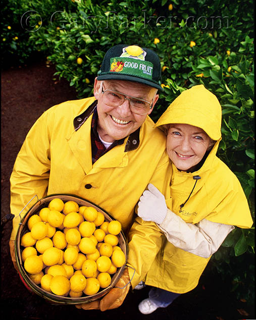 Gourmet Meyer lemon growers, Napa Valley, CA for The New York Times...