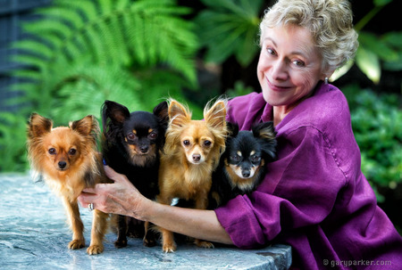 Supporter Carol Bailey with her Russian Toy Terriers for Humane Society Silicon Valley